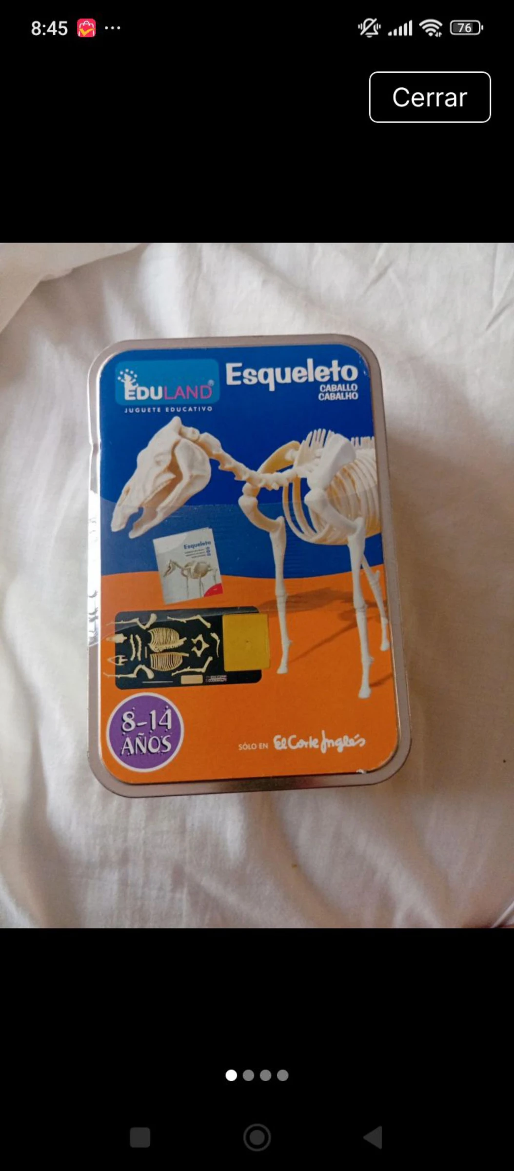 Esqueleto de caballo para montar